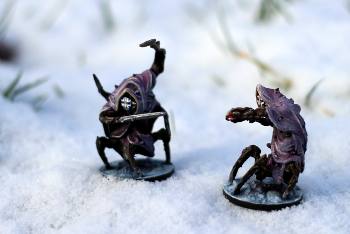 25. 11. 2023 - Harrower Geminate